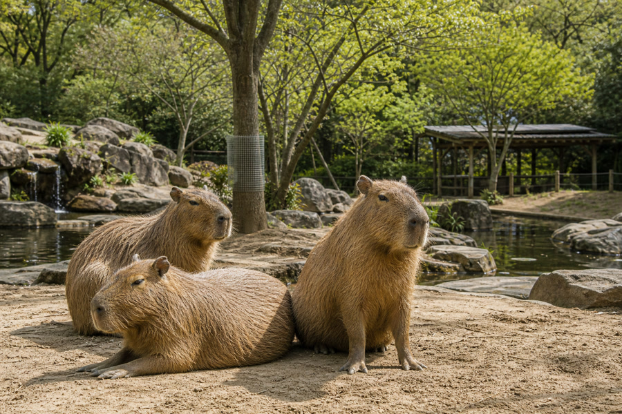 長崎バイオパーク